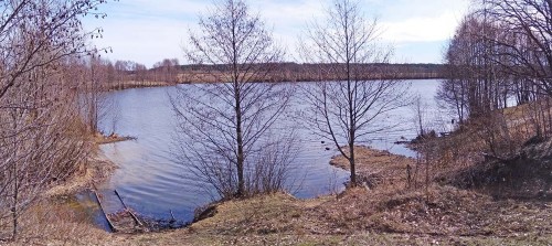 Ryb_07.04.2020-9.jpg