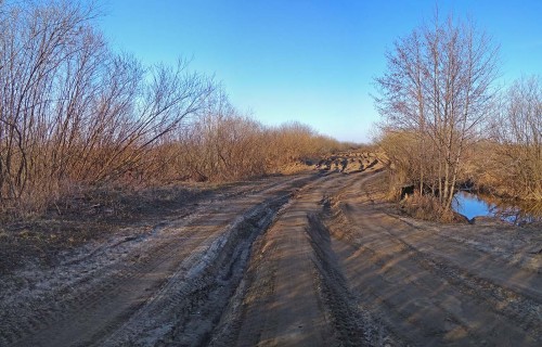 Ryb_09.04.2020-2.jpg