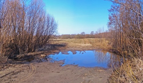 Ryb_09.04.2020-3.jpg