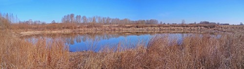 Ryb_09.04.2020-4.jpg
