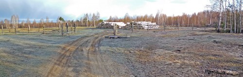 Ryb_11.04.2020-1.jpg
