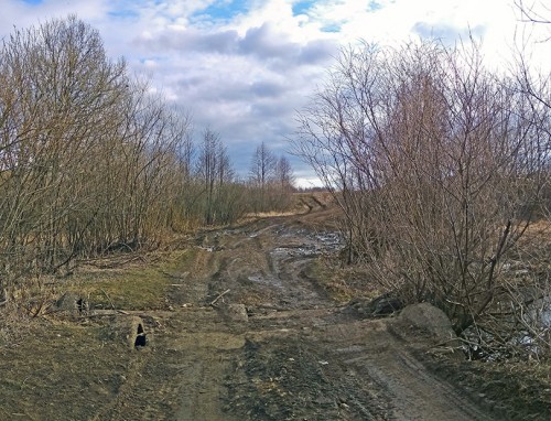 Ryb_11.04.2020-3.jpg