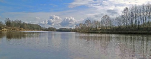 Ryb_11.04.2020-4.jpg