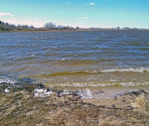 Ryb_12.04.2020-1.jpg