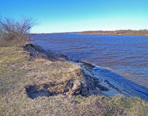 Ryb_12.04.2020-2.jpg