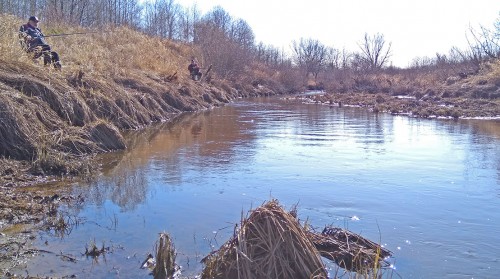 Ryb_12.04.2020-3.jpg
