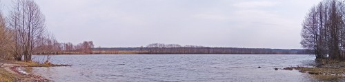 Ryb_14.04.2020-2.jpg