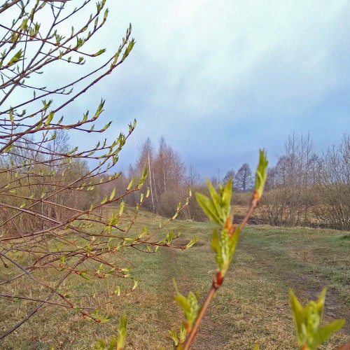Ryb_19.04.2020-2.jpg