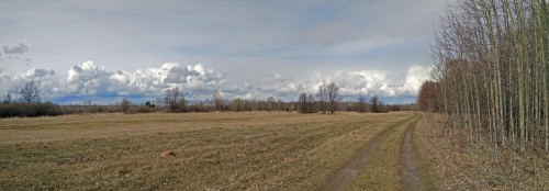 Ryb_19.04.2020-3.jpg
