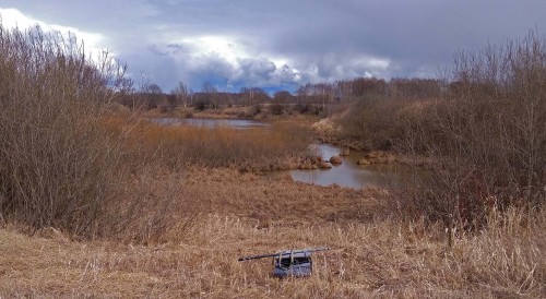 Ryb_19.04.2020-4.jpg