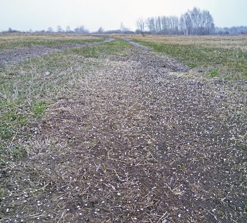 Ryb_22.04.2020-1.jpg