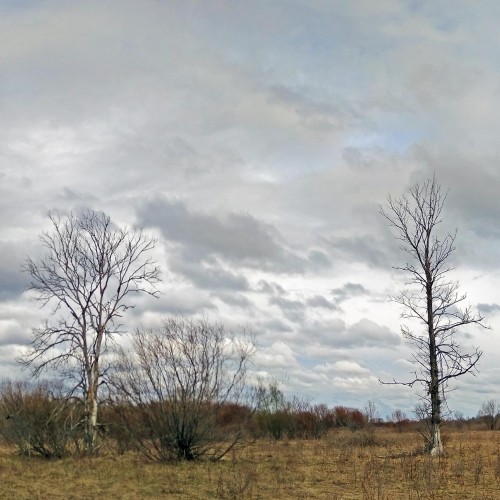 Ryb_22.04.2020-2.jpg