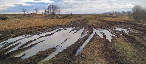 Ryb_22.04.2020-3.jpg