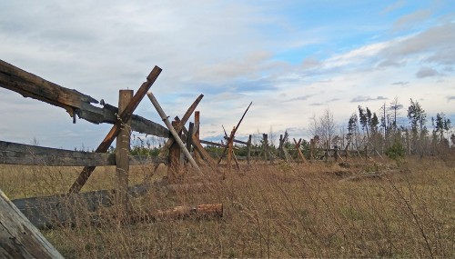 Ryb_22.04.2020-4.jpg