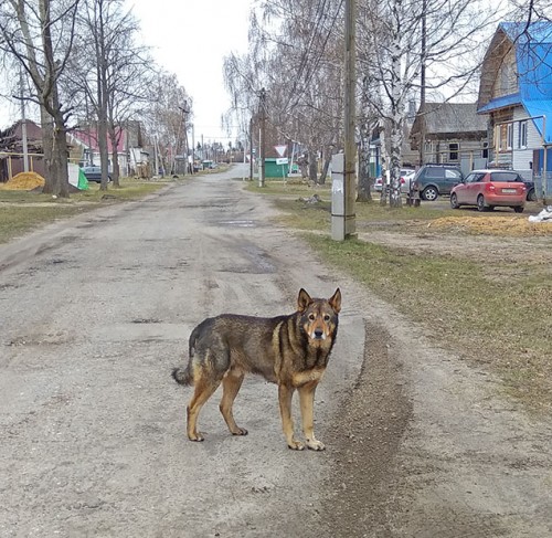 Ryb_22.04.2020-6.jpg