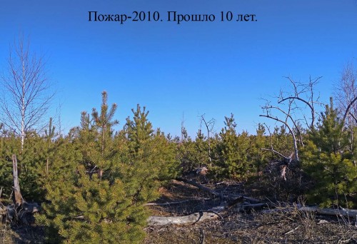 Ryb_24.04.2020-1.jpg
