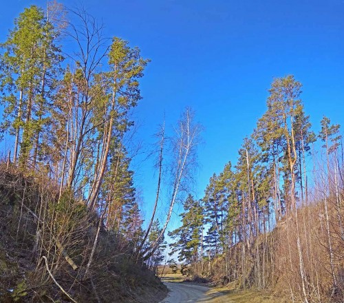 Ryb_24.04.2020-5.jpg