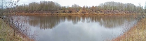 Ryb_26.04.2020-2.jpg