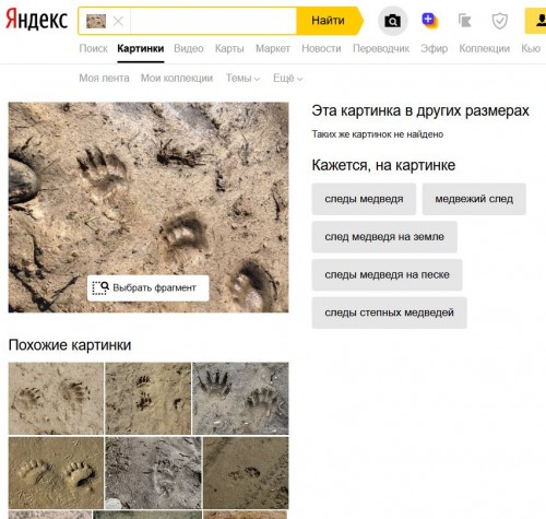 След.jpg