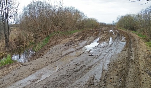 Ryb_04.05.2020-1.jpg