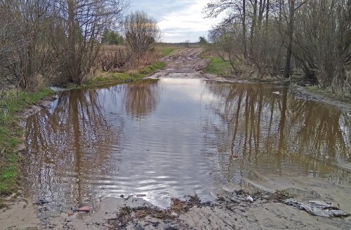 Ryb_04.05.2020-3.jpg