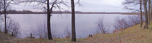 Ryb_04.05.2020-4.jpg