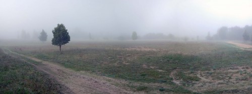 Ryb_11.05.2020-1.jpg