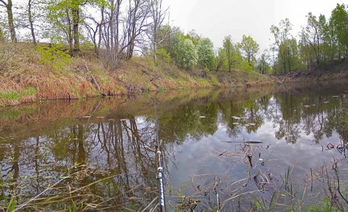 Ryb_11.05.2020-3.jpg