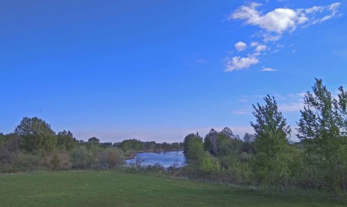 Ryb_14.05.2020-3.jpg