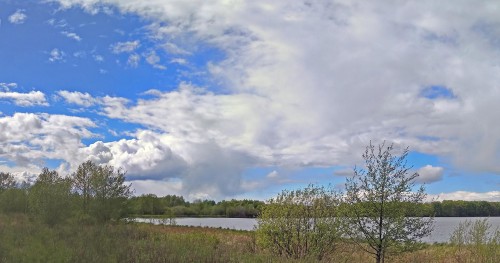 Ryb_19.05.2020-2.jpg