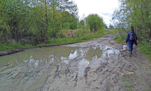 Ryb_23.05.2020-1.jpg