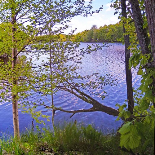 Ryb_25.05.2020-3.jpg