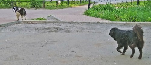 Ryb_29.05.2020-7.jpg
