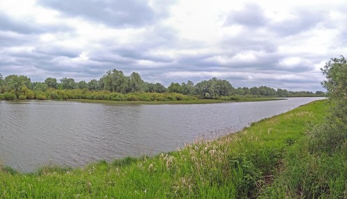Ryb_03.06.2020-3.jpg