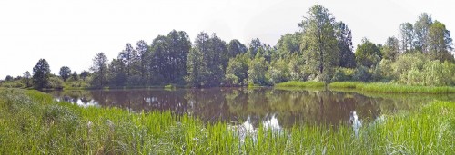 Ryb_07.06.2020-2.jpg