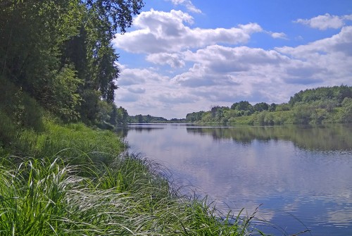 Ryb_07.06.2020-3.jpg