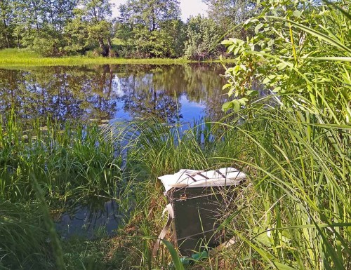 Ryb_10.06.2020-1.jpg