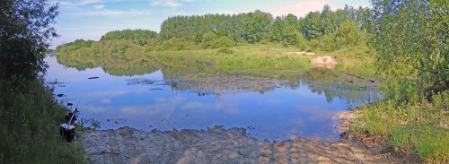 Ryb_10.06.2020-2.jpg