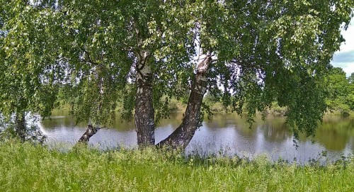 Ryb_10.06.2020-3.jpg