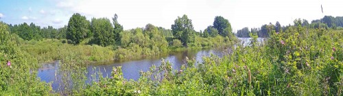 Ryb_12.06.2020-1.jpg