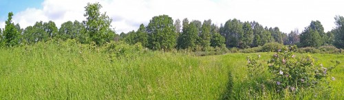 Ryb_12.06.2020-2.jpg
