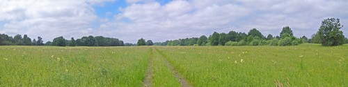 Ryb_12.06.2020-4.jpg