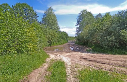 Ryb_12.06.2020-6.jpg