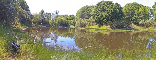 Ryb_22.06.2020-8.jpg