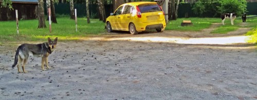 Les_25.06.2020-6.jpg