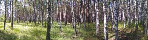 Les_26.06.2020-1.jpg