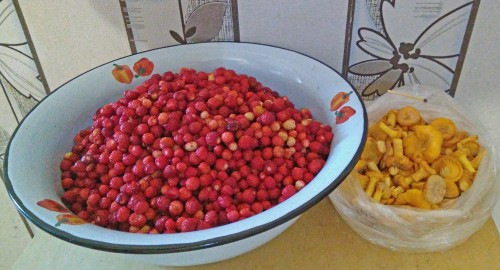 Les_28.06.2020-3.jpg