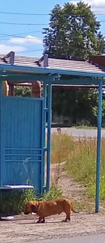 Les_29.06.2020-3.jpg