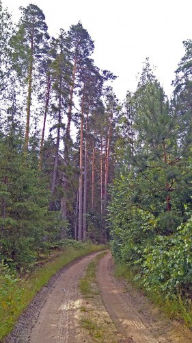 Les_05.07.2020-1.jpg