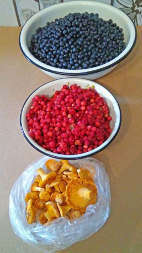 Les_05.07.2020-4.jpg